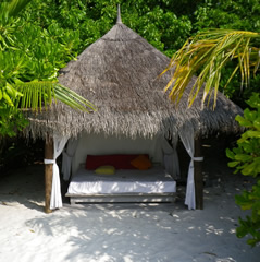 Thatch Roof Pavilion